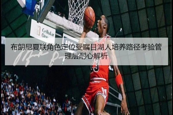 布朗尼夏联角色定位受瞩目湖人培养路径考验管理层耐心解析